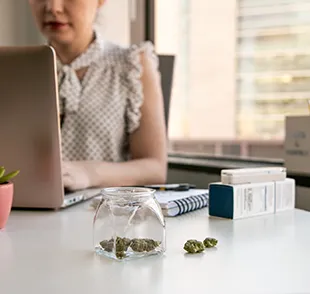 Professional reviewing retail building permits with cannabis samples on desk